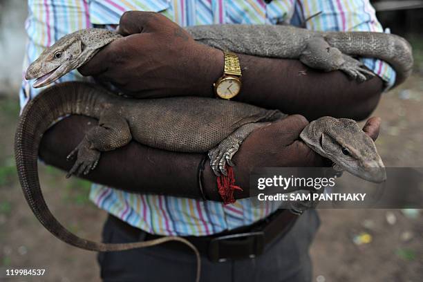26 Animal Care Charitable Trust Photos and Premium High Res Pictures - Getty Images 26 Animal Care Charitable Trust Photos and Premium High Res Pictures - Getty Images
