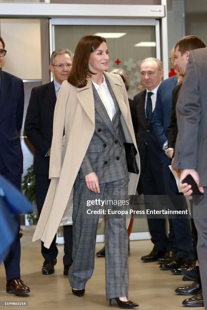 Queen Letizia Of Spain Attends A Meeting At Red Cross Headquarters