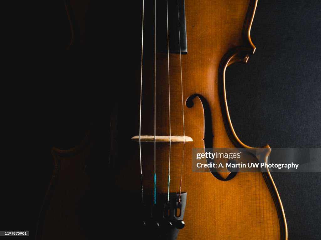 Violin on black background