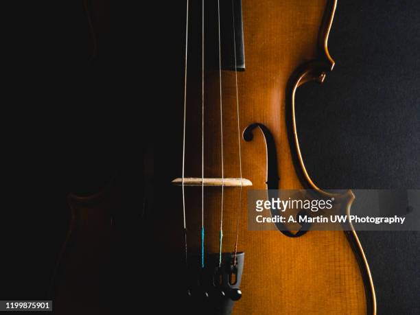 violin on black background - symphony stockfoto's en -beelden