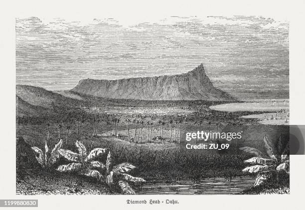 24点のdiamond Headイラスト素材 Getty Images 24点のdiamond Headイラスト素材 Getty Images