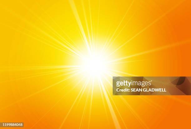 bright sunshine - sunlight stockfoto's en -beelden