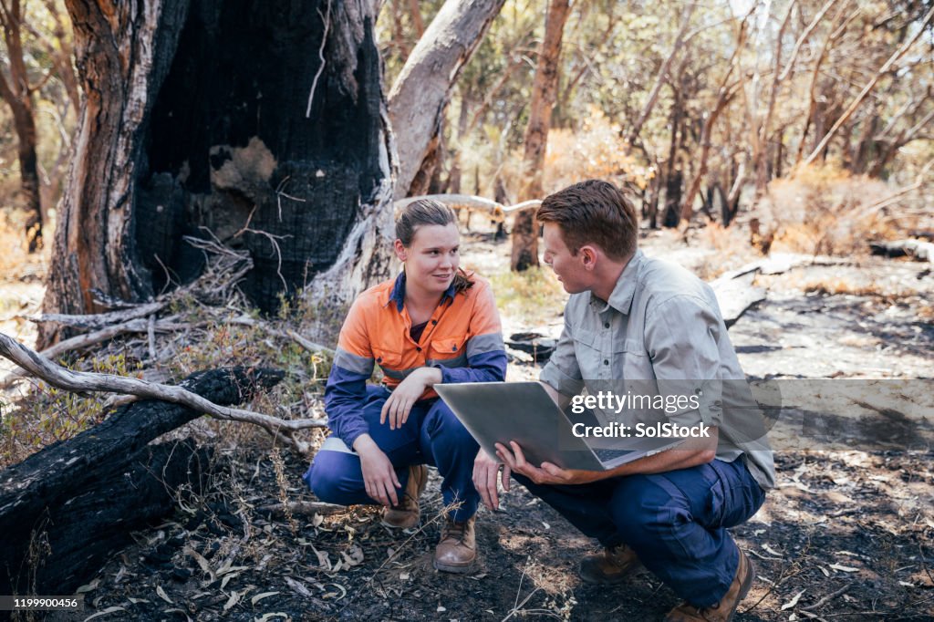 Challenges for Environmental Scientists
