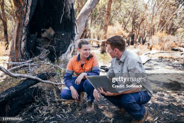 challenges for  environmental scientists - wildlife research stock pictures, royalty-free photos & images