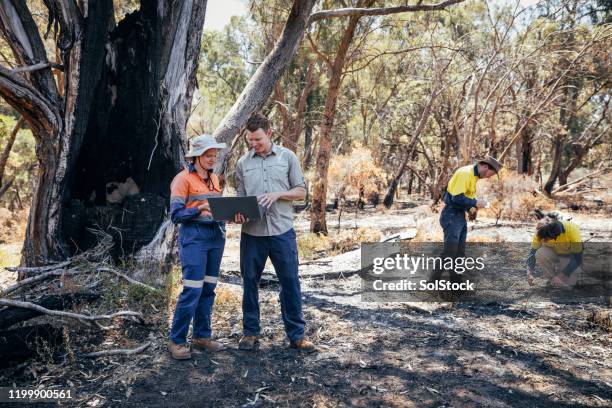 environmental professionals at work - damaged laptop stock pictures, royalty-free photos & images