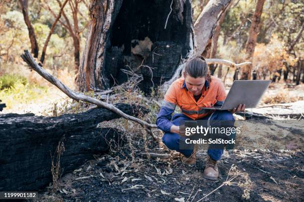 hart arbeiten, um ihrer umwelt zu helfen - australian fire stock-fotos und bilder