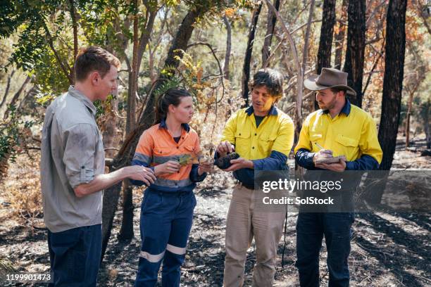 educating the team outdoors on location - wildlife conservation stock pictures, royalty-free photos & images