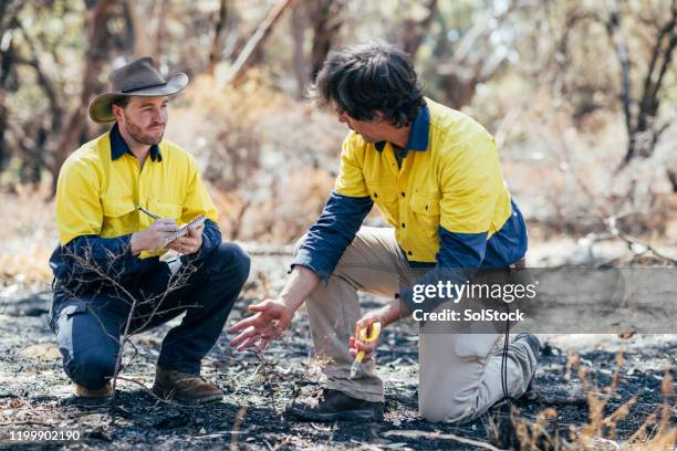 their work is important for our environment - bush land stock pictures, royalty-free photos & images