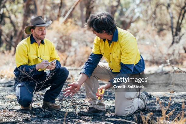 their work is important for our environment - wildlife research stock pictures, royalty-free photos & images