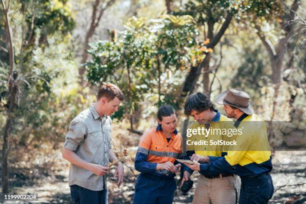 looking at the data collected - climate research stock pictures, royalty-free photos & images