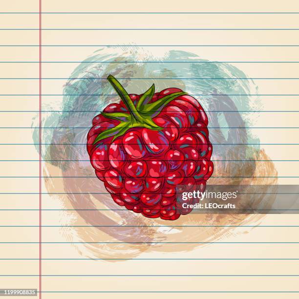 raspberry drawing on ruled paper - raspberry stock illustrations