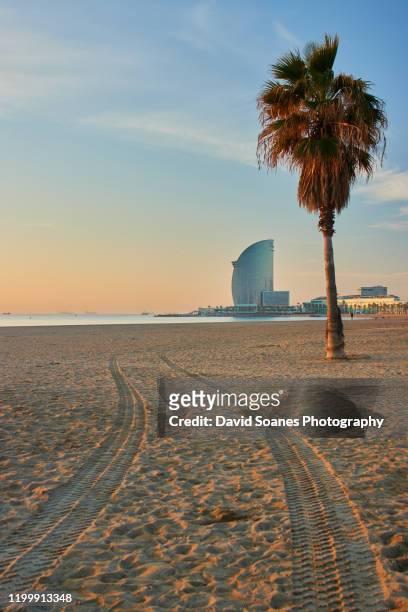 a beach at sunrise in barcelona, spain - barceloneta beach stock pictures, royalty-free photos & images