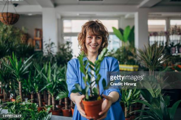 leende kvinna i blomsteraffär - florist bildbanksfoton och bilder