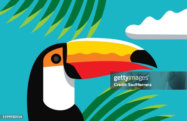 wild paradise - red breasted toucan stock illustrations