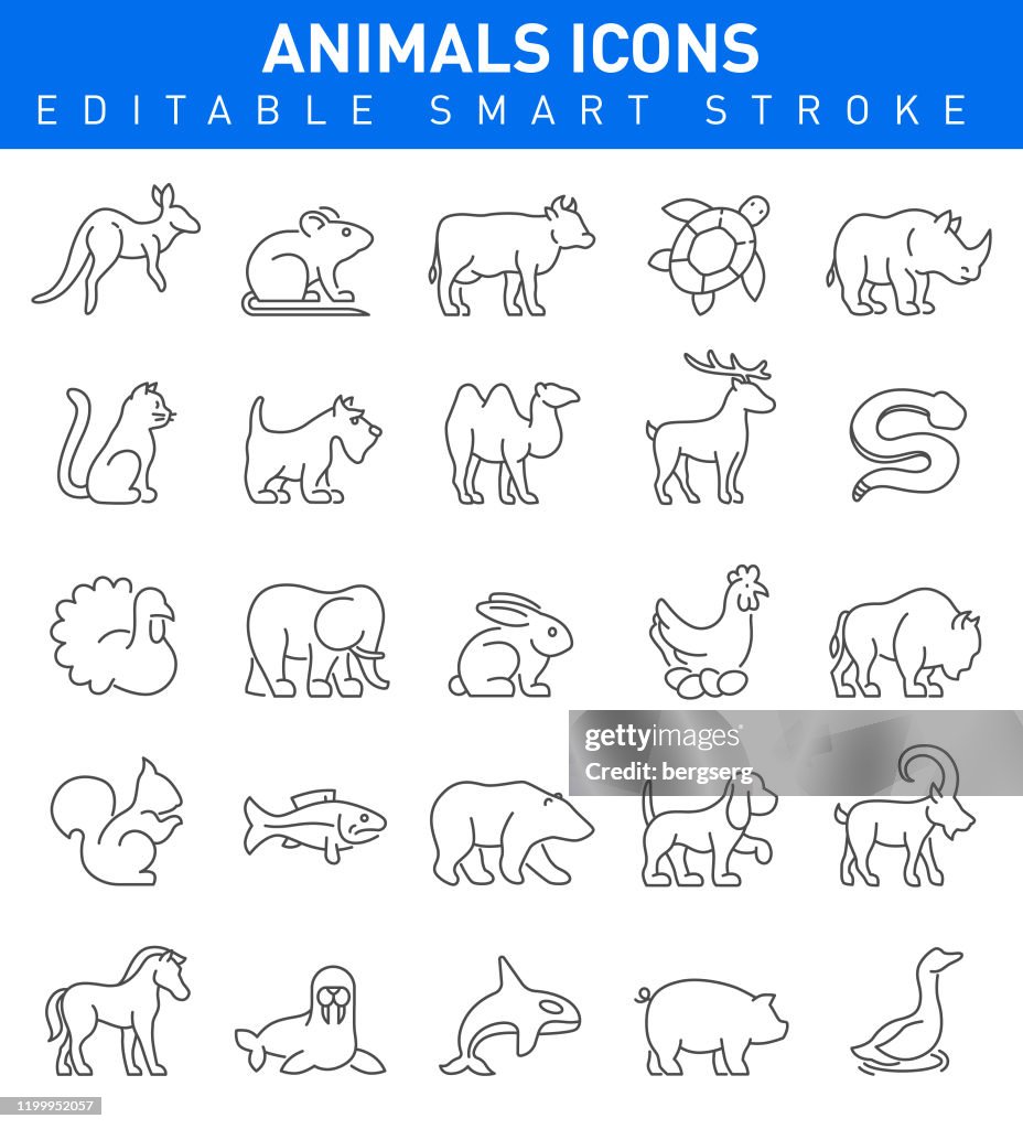 Animal Icons. Vector Illustration