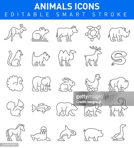 animal icons. vector illustration - animal wildlife stock illustrations