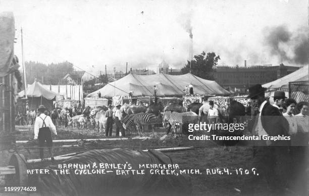 Postcard depicts 'Barnum and Bayley's Menageria after the cyclone,' Battle Creek, Michigan, August 4, 1909. Men, women, and various animals stand...