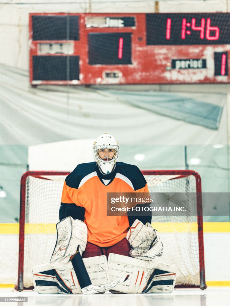 Pro Hockey goalie