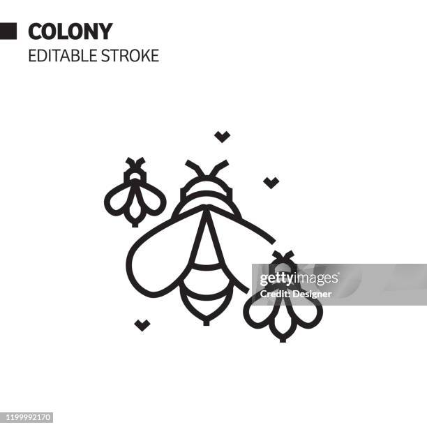 bee colony line icon, outline vector symbol illustration. pixel perfect, editable stroke. - bee keeper stock illustrations