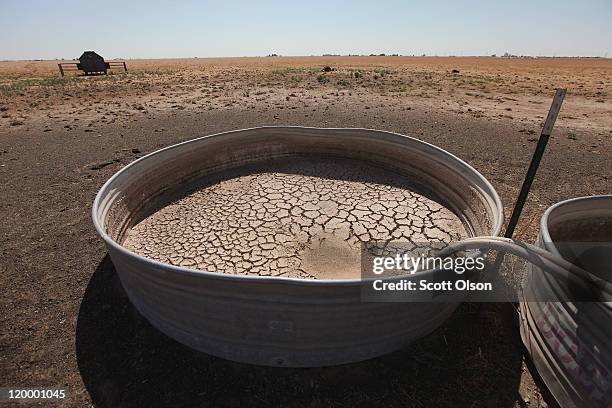 Cracked mud lines the bottom of a water tank in a pasture July 28, 2011 near Tulia, Texas. A dead cow and calf lay in the field nearby. A severe...