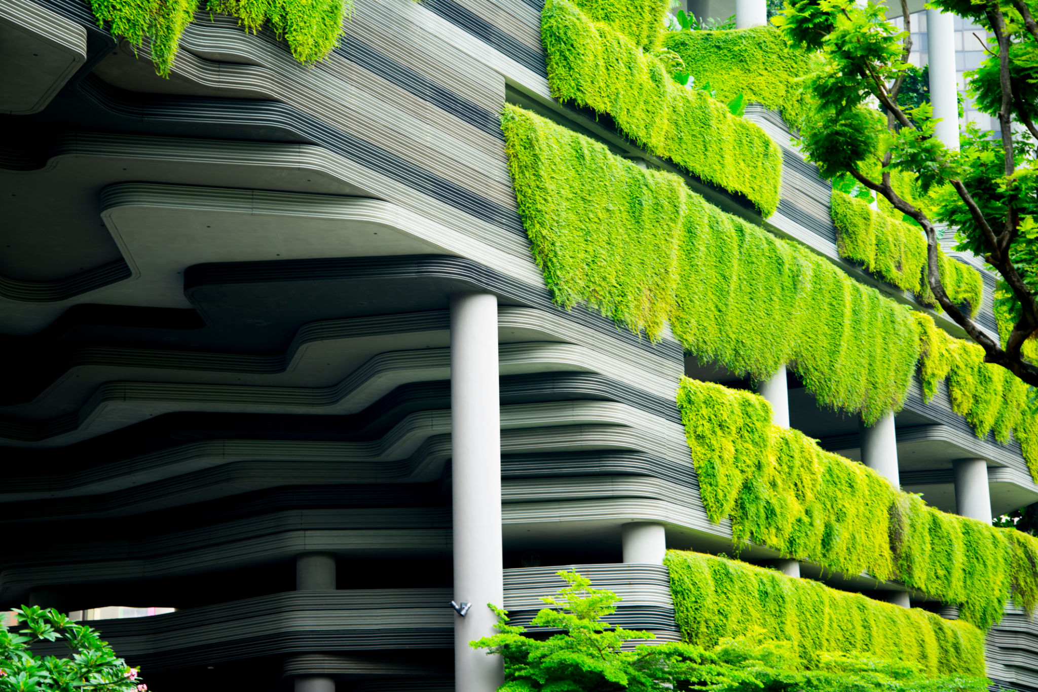 Green Eco Building Green Eco Building