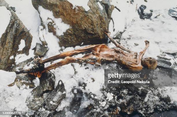 Découverte du corps momifié d'un homme sur le glacier du Similaun dans les Alpes de l'Otzal en Italie à 92 mètres de la frontière de l'Autriche