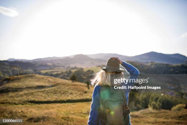 back view of young woman traveller walking outdoors in nature in autumn. - rugzak stockfoto's en -beelden