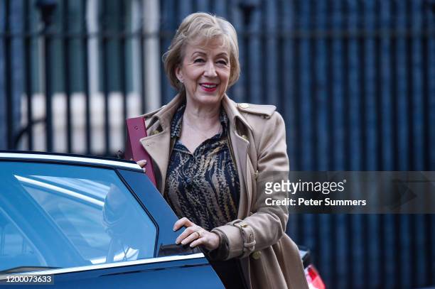 Andrea Leadsom, Business Secretary, arrives at Downing Street on February 11, 2020 in London, England. Boris Johnson will give the green light to the...