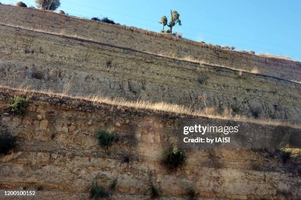 the rock-cut road to jerusalem, detail of geological strata - rock strata photos et images de collection