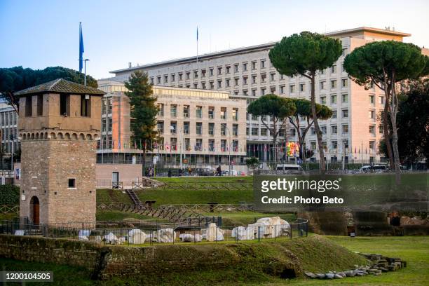 the seat of the food and agriculture organization of the united nations fao in rome seen from the circus maximus - fao stock pictures, royalty-free photos & images