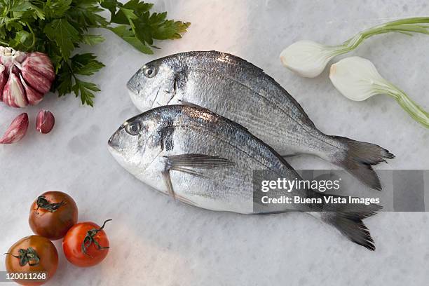 fresh sea breams - sea bream stock pictures, royalty-free photos & images