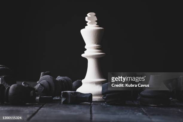 concepto de ajedrez - pieza de ajedrez fotografías e imágenes de stock