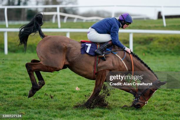 Brendan Powell riding Enormouse manages to hang on as they stumble at the last in The Hillside Brewery Maiden Hurdle at Chepstow Racecourse on...