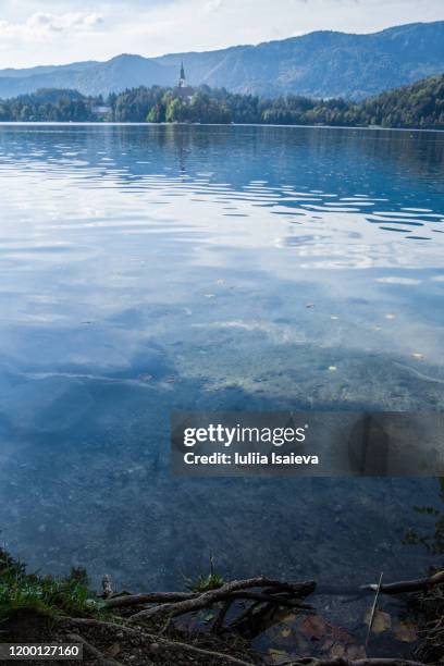 calm lake near mountain range - lake bottom foto e immagini stock