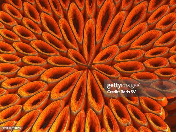 alien fruit, close-up - fruit art stockfoto's en -beelden