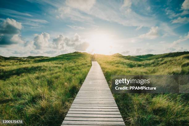 way through the dunes - sand blowing stock pictures, royalty-free photos & images