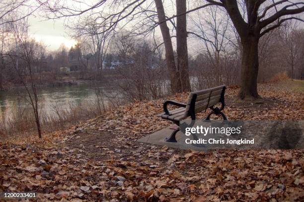 bench in autumn overlooking river - london ontario stockfoto's en -beelden