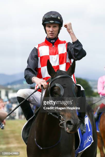The Mitigator ridden by Shaun McKay returns to scale after winning the Harcourts Thorndon Mile during Wellington Cup Day at Trentham Racecourse on...