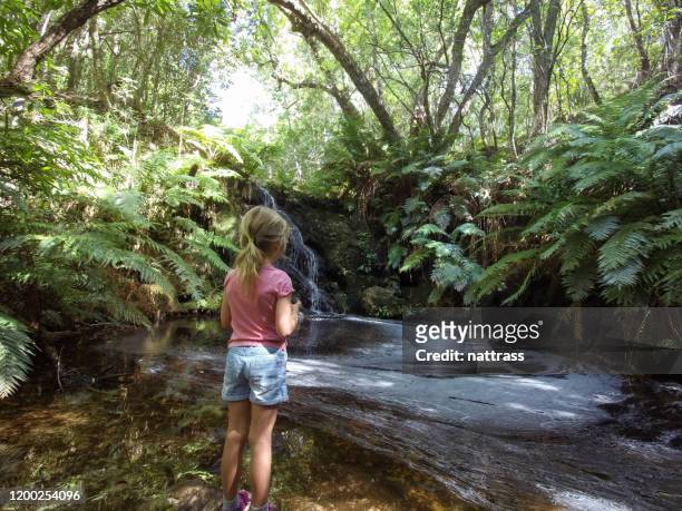 little girl admires the beautiful stream of water - garden route south africa stock pictures, royalty-free photos & images
