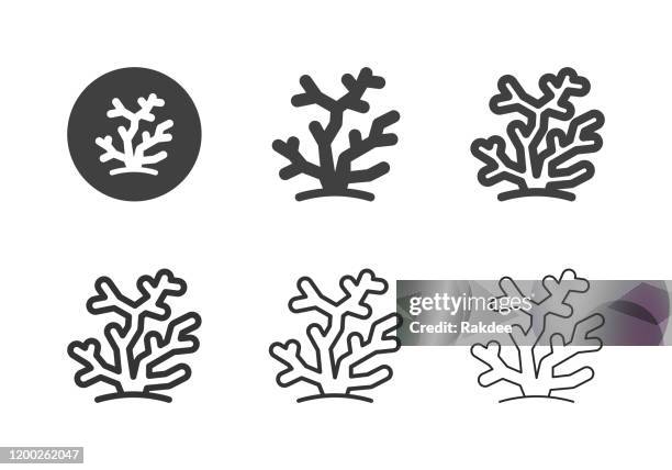 coral sea icons - multi series - corals stock illustrations