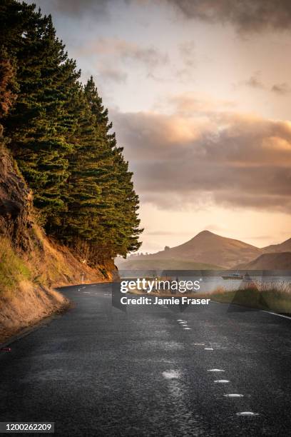 hereweka harbour cone views otago peninsula, dunedin - dunedin new zealand stock pictures, royalty-free photos & images