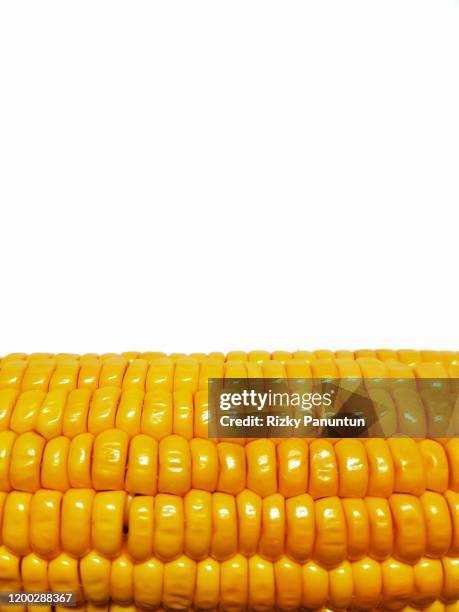 close-up of corn against white background - sweetcorn stock pictures, royalty-free photos & images