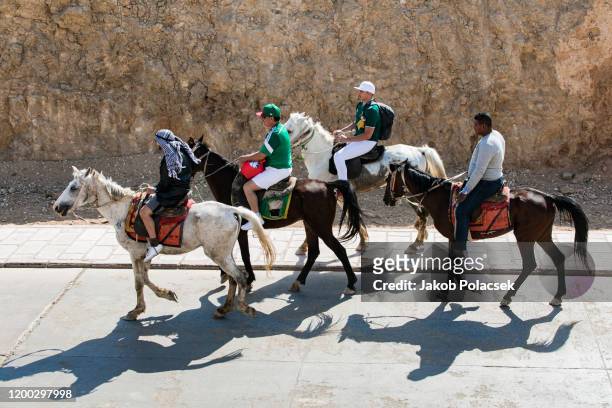 horses are still a handy way of transportation in egypt - 車海老料理 個照片及圖片檔