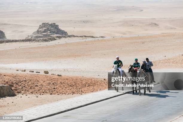 horses are still a handy way of transportation in egypt - 車海老料理 個照片及圖片檔