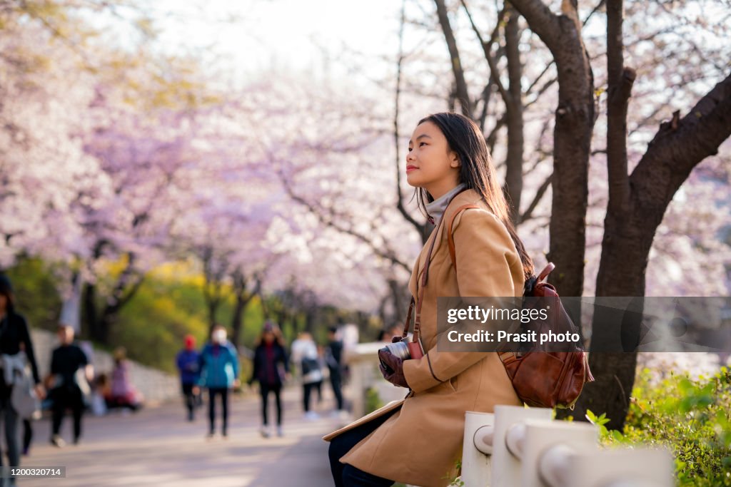 Young woman traveler backpacker traveling sightseeing cherry blossom in Seokchon lake park during spring season in Seoul city, South Korea.