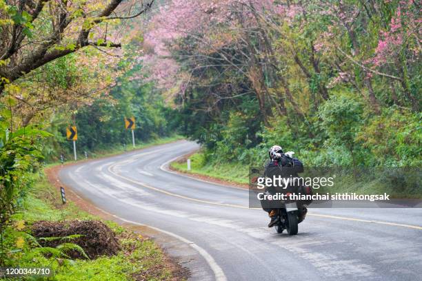 road trip on pink blossom road - holiday scooter fotografías e imágenes de stock
