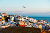 Tangier medina at dawn, seagull
