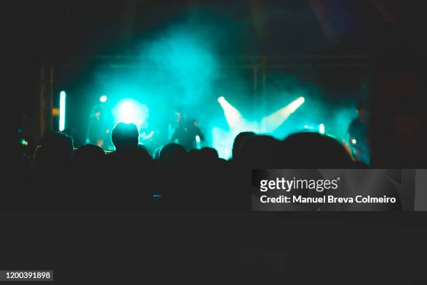 concert - metalhead stock pictures, royalty-free photos & images