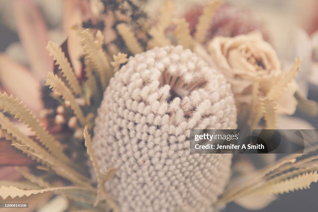 Dried Flowers