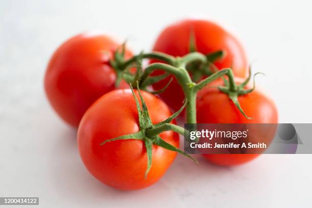 252 One Ripe Tomato On Vine Stock Photos, High-Res Pictures, and Images ...